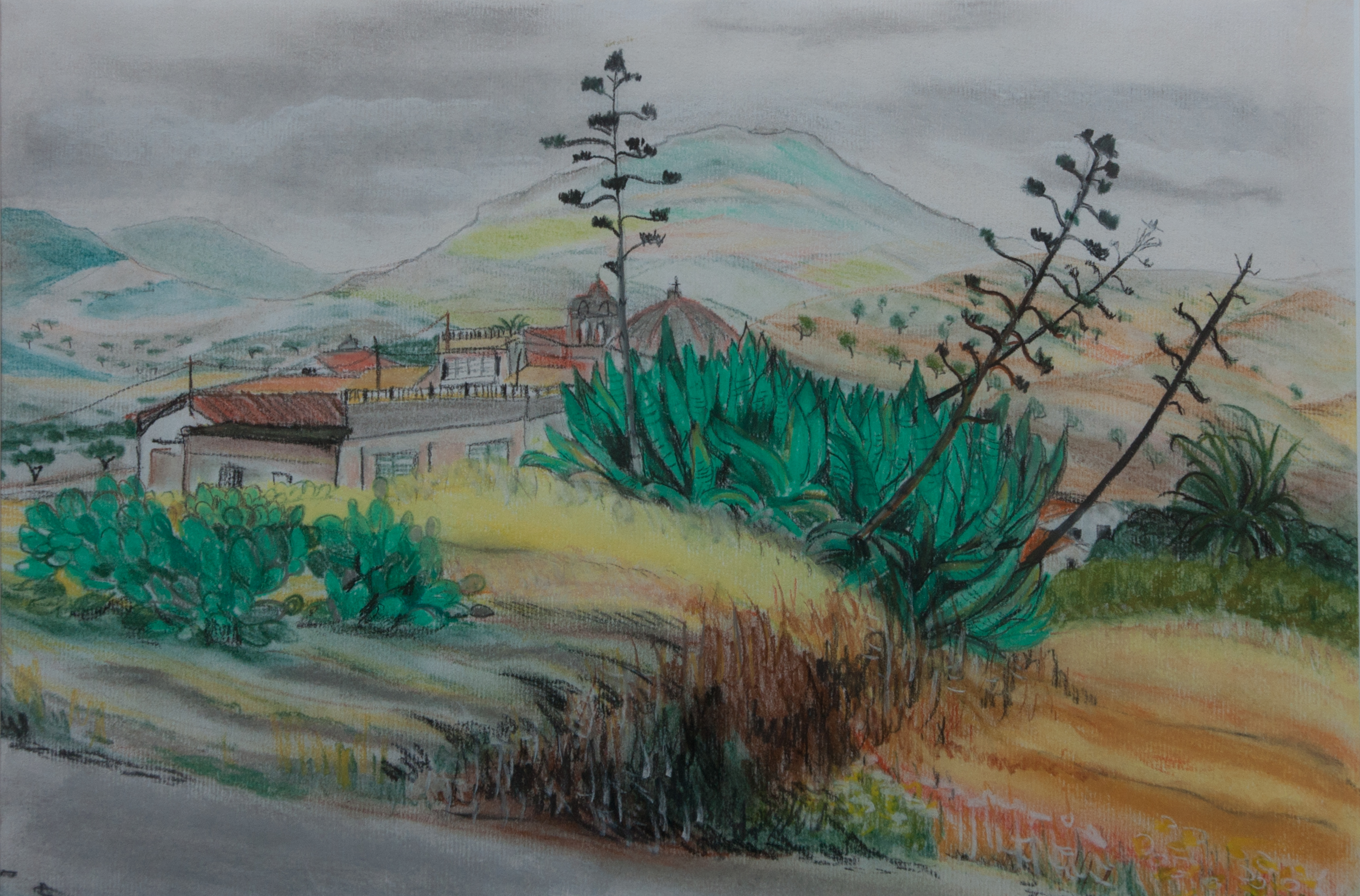landschap divers